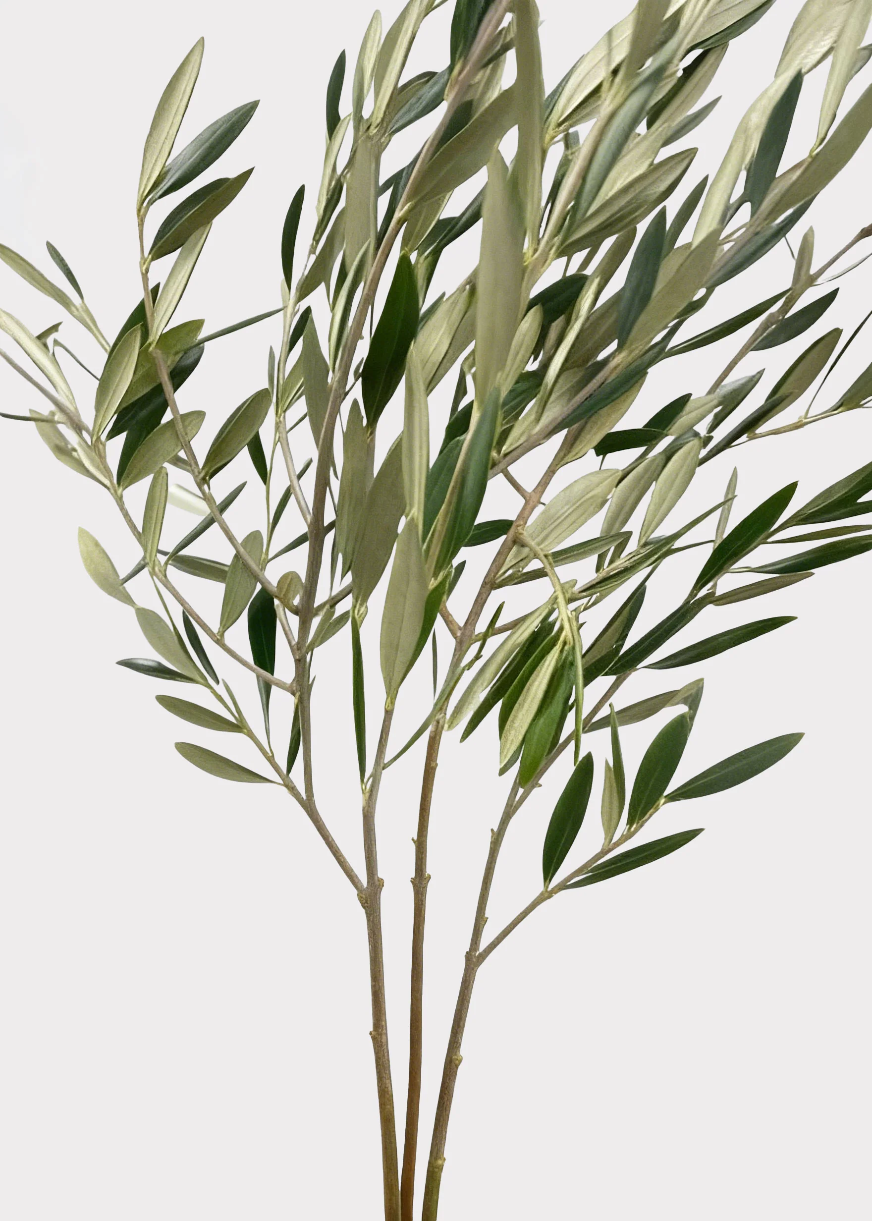 New Artificial Flowers, Fake Plants and Vases